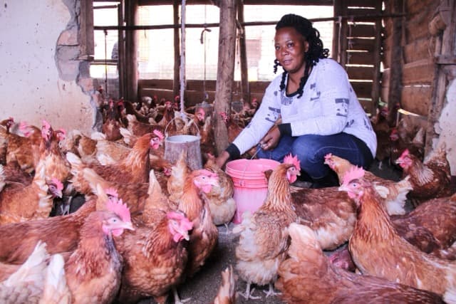 Eyeeterekera Poultry Project